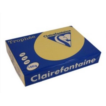 Carta Trophee A4 Gr.160 Oro