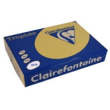 Carta Trophee A4 Gr.80 Oro 500 Fogli