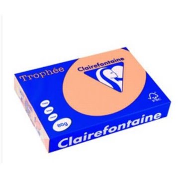 Carta Trophee A3 Gr.80 Salmone