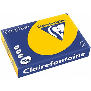 Carta Trophee A4 Gr.80 Giallo Girasole 500 Fogli