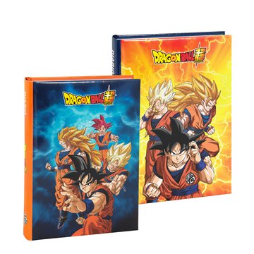 Diario 12 Mesi Standard Dragonball 2023/2024