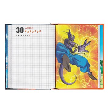 Diario 12 Mesi Standard Dragonball 2023/2024