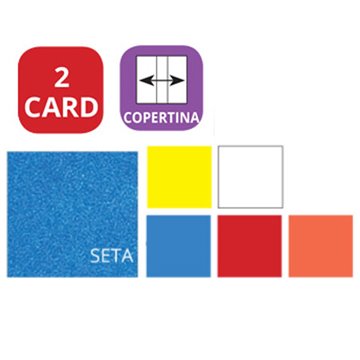 Bicard Porta Card Colorato In Pvc 2 Scomparti 890c