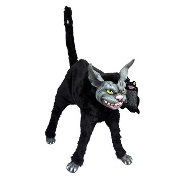 Halloween Gatto Nero Cm.28 6927g