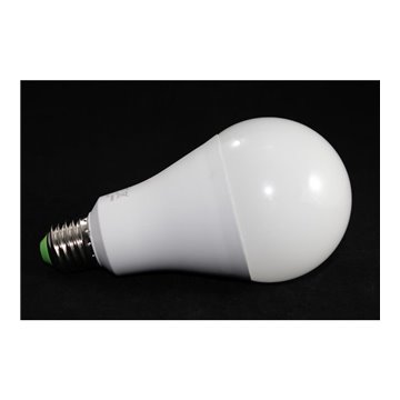 Lampadina Led 20w  6400k E27 A80 Luce Fredda