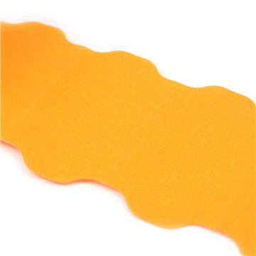 Nastri Prez.meto 32x19 Fl.arancio