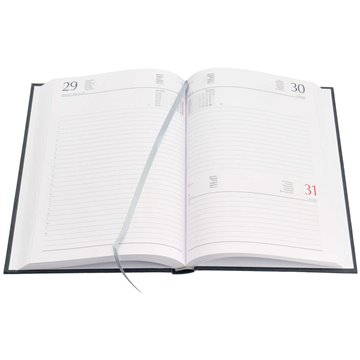 Agenda Giornaliera 14.3x20.5 Blu 9101xmt12 2025