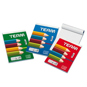 Blocchi Notes Team 15x21 A5 5mm