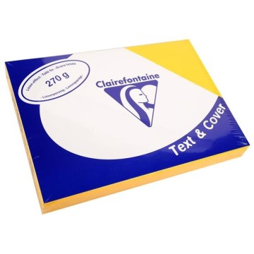 Supporti A4 Gr.270 Telato...