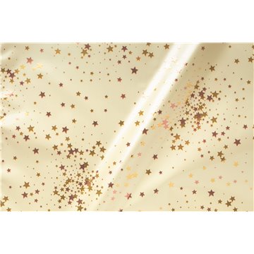 Buste Assortite Argentate 35my 40x65 Little Star Udw08accy9o00