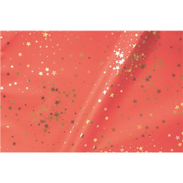 Buste Assortite Argentate 35my 40x65 Little Star Udw08accy9o00