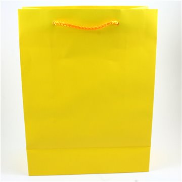 Buste Con Cordoncino 22x29+10 Giallo