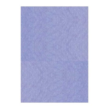 Fogli Prisma 50x70 Gr.220...