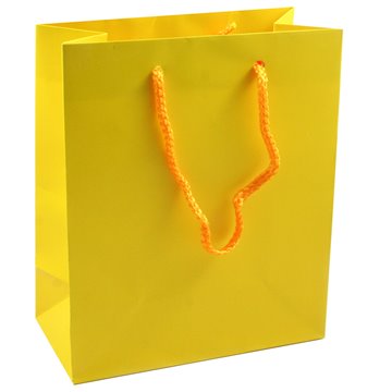 Buste Con Cordoncino 16x19+8 Giallo