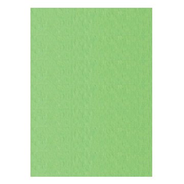 Fogli Prisma 70x100 Pistacchio 10ff A33p0a1 Verde