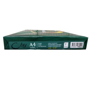 Carta Inkjet A4 Gr.100 250 Fogli 4645