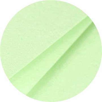 Carta 106x213 25ff Gr.210 Verde 21,3 X 10,6 Cm