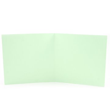 Carta Pieg.160x160 25f Gr.210 Verde