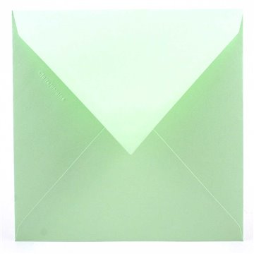 Buste 165x165 Pz.20 Gr.120 Verde