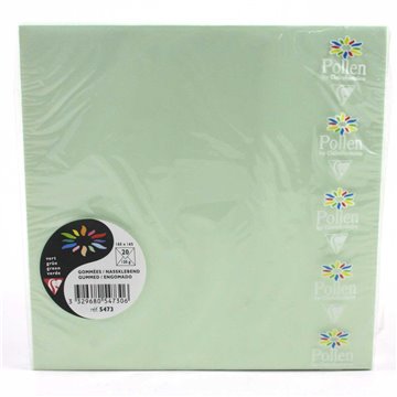 Buste 165x165 Pz.20 Gr.120 Verde