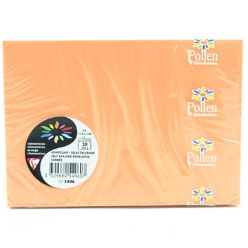 Buste 114x162 Pz.20 Gr.120 Arancio