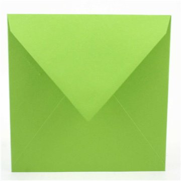 Buste 165x165 Pz.20 Gr.120 Verde Intenso