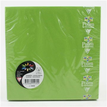 Buste 165x165 Pz.20 Gr.120 Verde Intenso