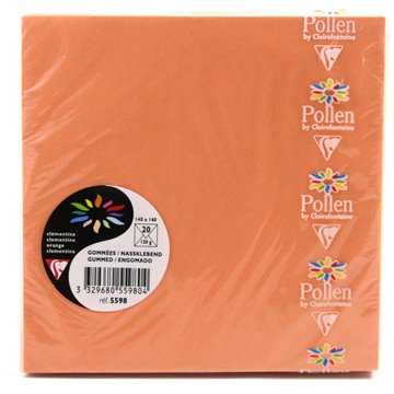 Buste 140x140 Pz.20 Gr.120 Arancio