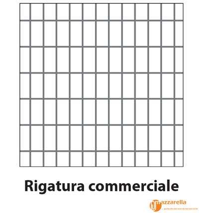 Quaderno Spirale Righe 5° Elementare senza Margine senza Fori TintaUnita A5  - Carta Shop